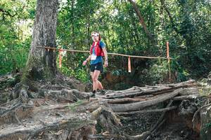 BIB: 
                            <button type="button" onclick="openModal(27744197)" class="btn btn-primary btn-sm float-right btn-popup" data-toggle="modal" data-target=".modal-high-quality">
                        <i class="fas fa-shopping-cart"></i> Add to Cart
                    </button>
                                            <button type="button" onclick="isThisMe(27744197, true)" class="btn btn-success btn-sm float-right btn-popup btn-isme hidden" data-toggle="tooltip" data-placement="bottom" title="นี่คือรูปของคุณใช่ไหม คลิกที่นี่เพื่อเอาเข้าอัลบั้ม">
                        <i class="fas fa-plus"></i> Add to album
                    </button>
                    <button type="button" onclick="isThisMe(27744197, false)" class="btn btn-warning btn-sm float-right btn-popup btn-isnotme hidden">
                        <i class="fas fa-ban"></i> Remove from album
                    </button>